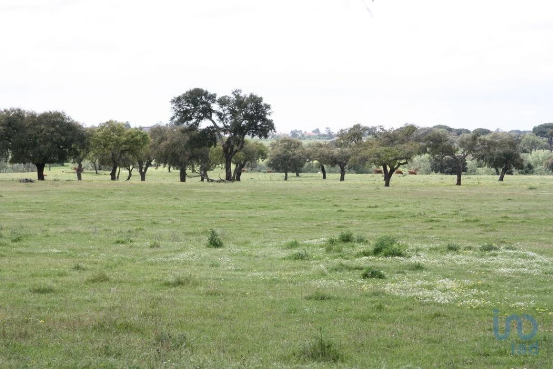 Terreno para Venda em Poceirão e Marateca Foto 13
