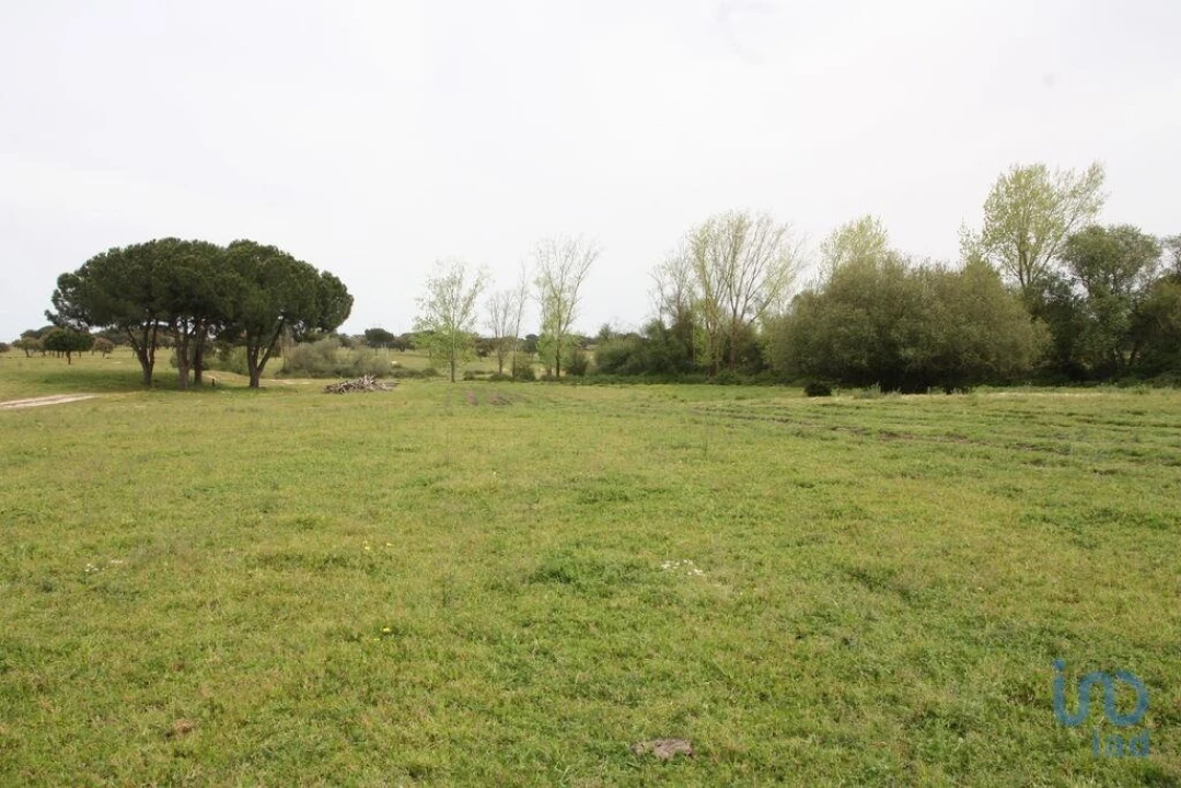 Terreno para Venda em Poceirão e Marateca Foto 10