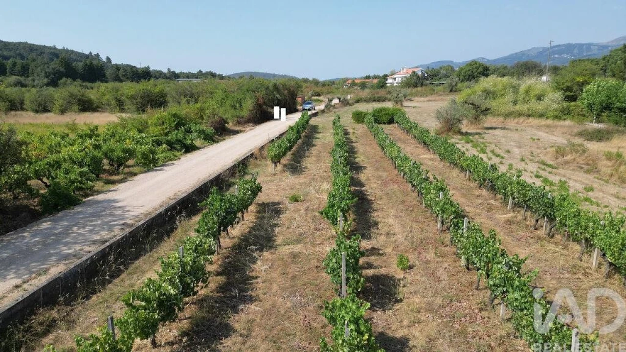 Terreno para Venda em Cumeeira Foto 19