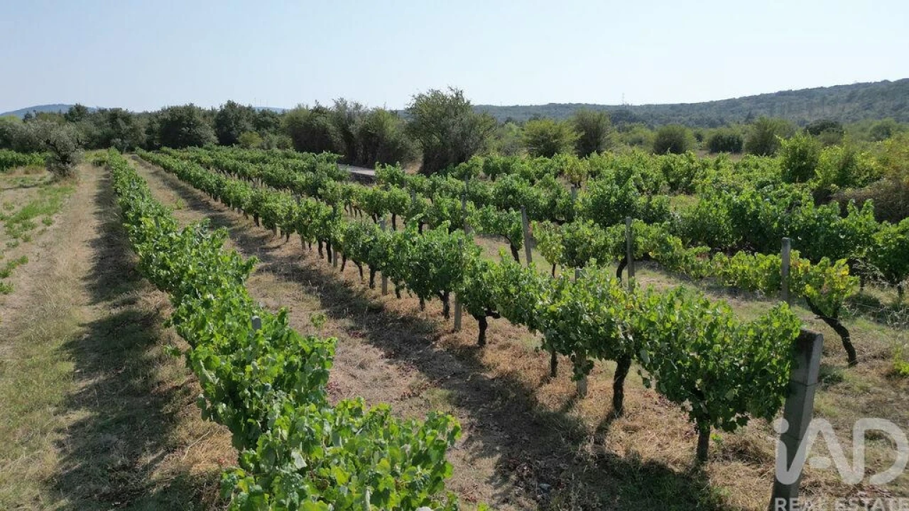 Terreno para Venda em Cumeeira Foto 21