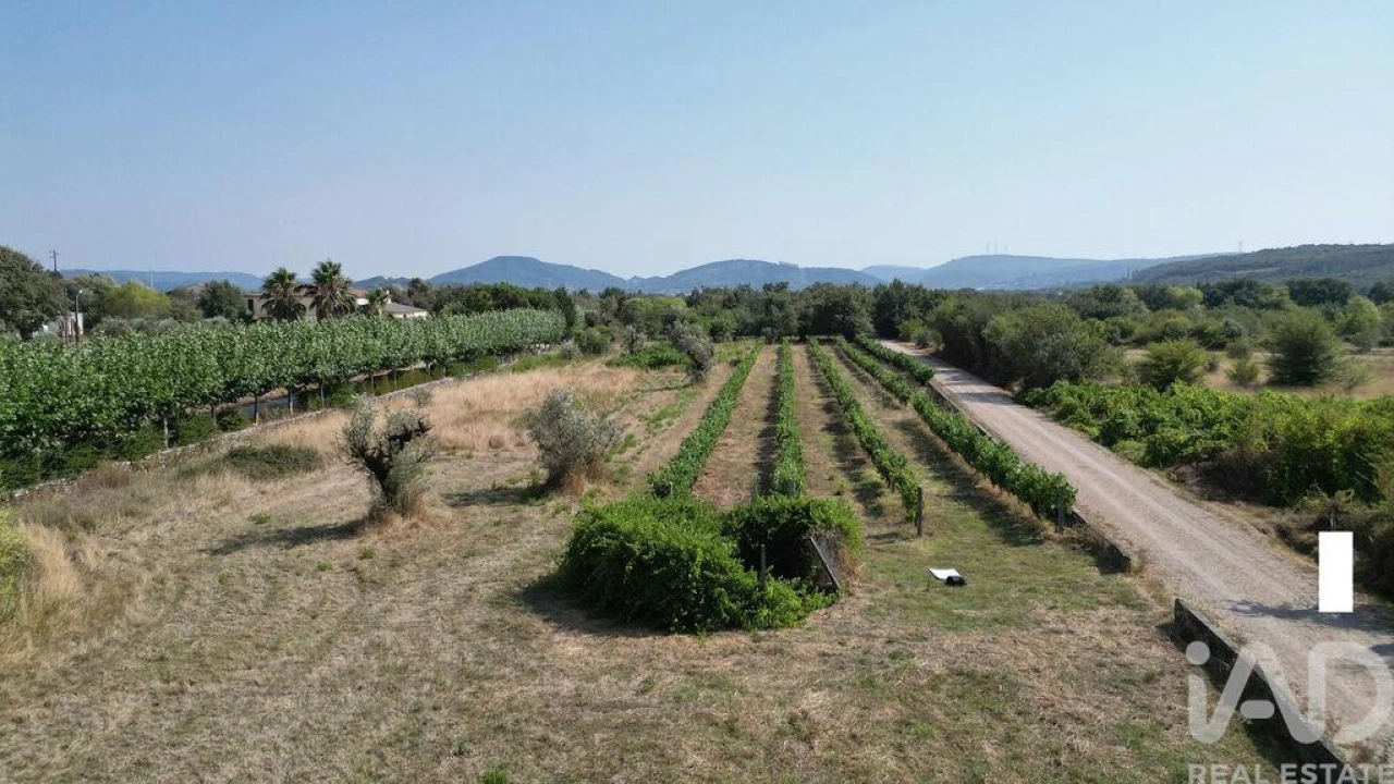 Terreno para Venda em Cumeeira Foto 15