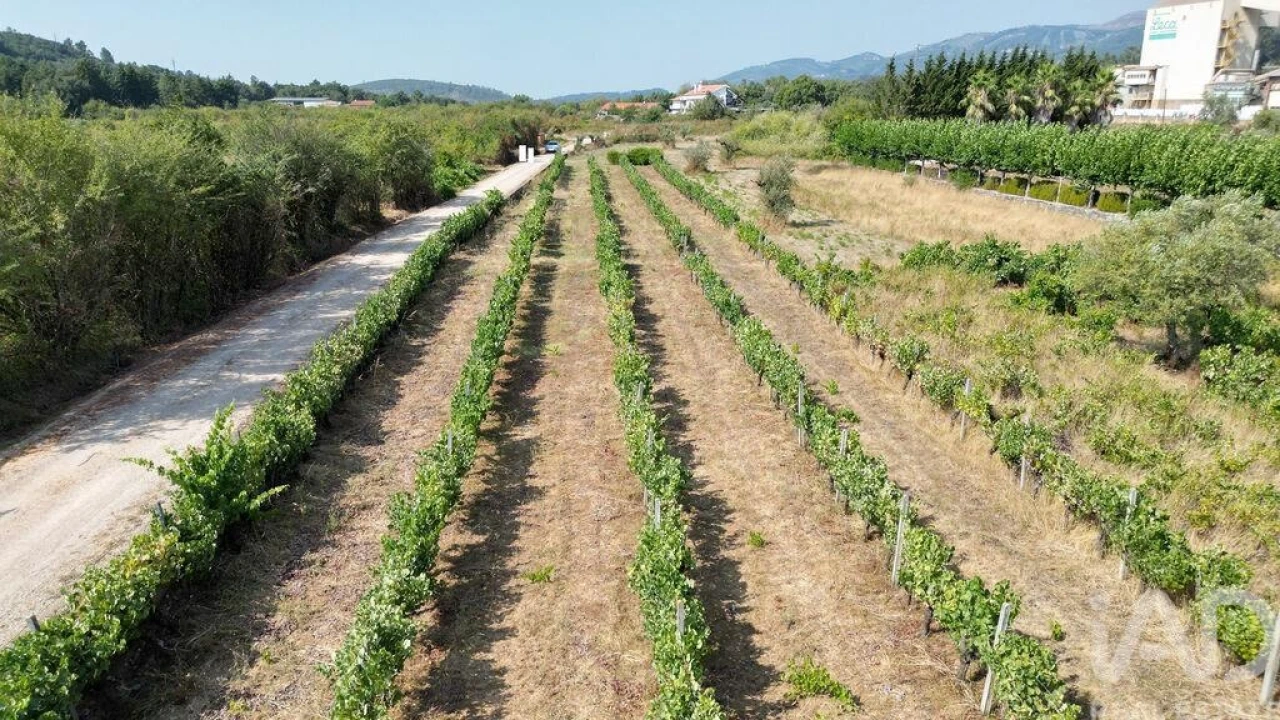 Terreno para Venda em Cumeeira Foto 17