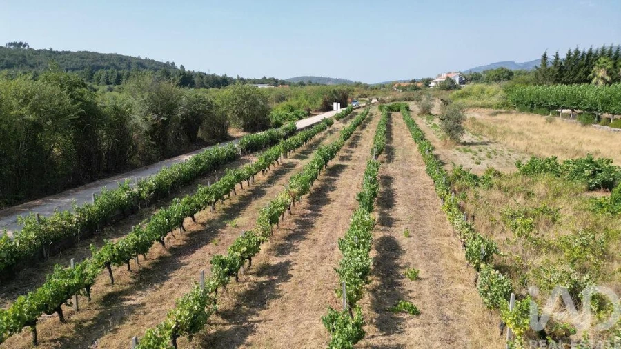 Terreno para Venda em Cumeeira Foto 18
