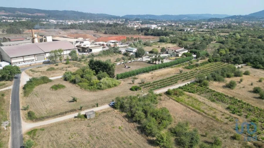 Terreno para Venda em Cumeeira Foto 4