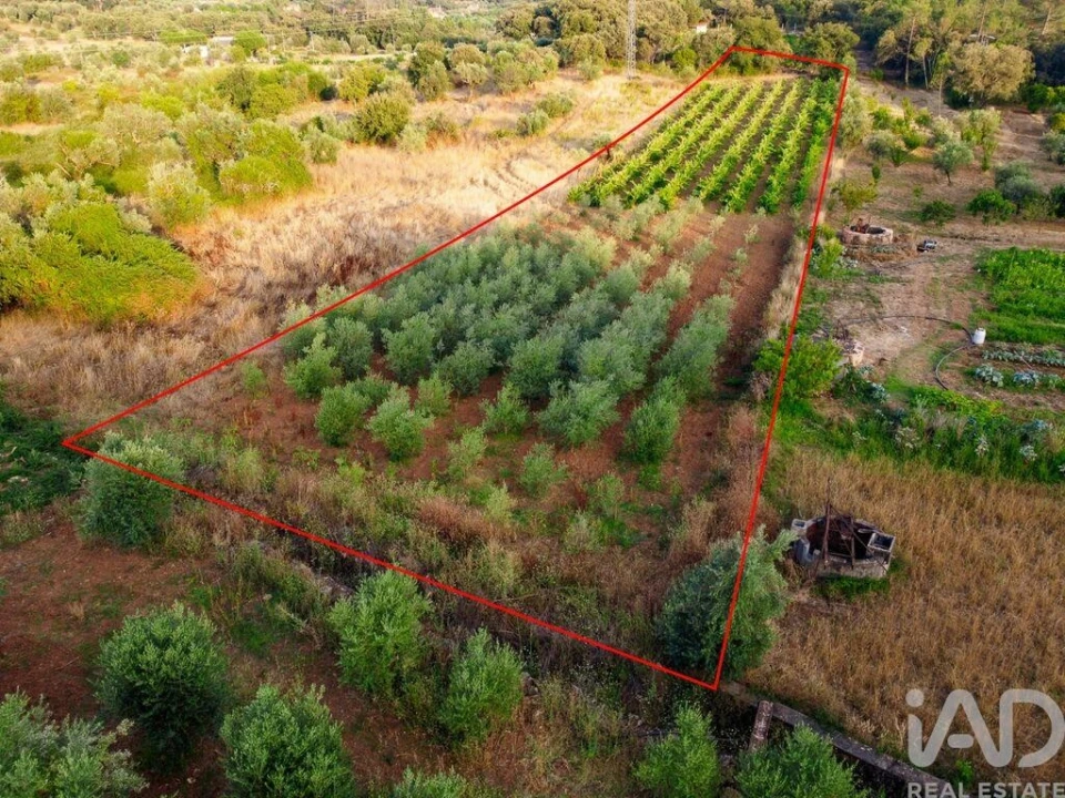 Terreno para Venda em Nossa Senhora do Pranto Foto 24