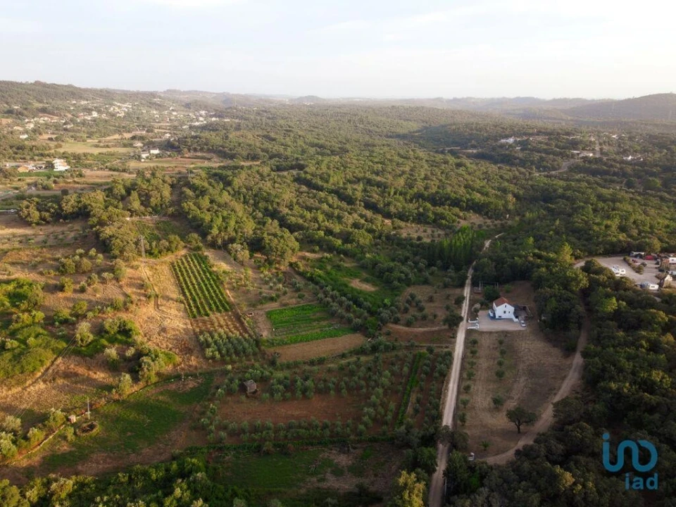 Terreno para Venda em Nossa Senhora do Pranto Foto 11