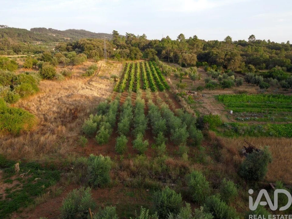 Terreno para Venda em Nossa Senhora do Pranto Foto 23