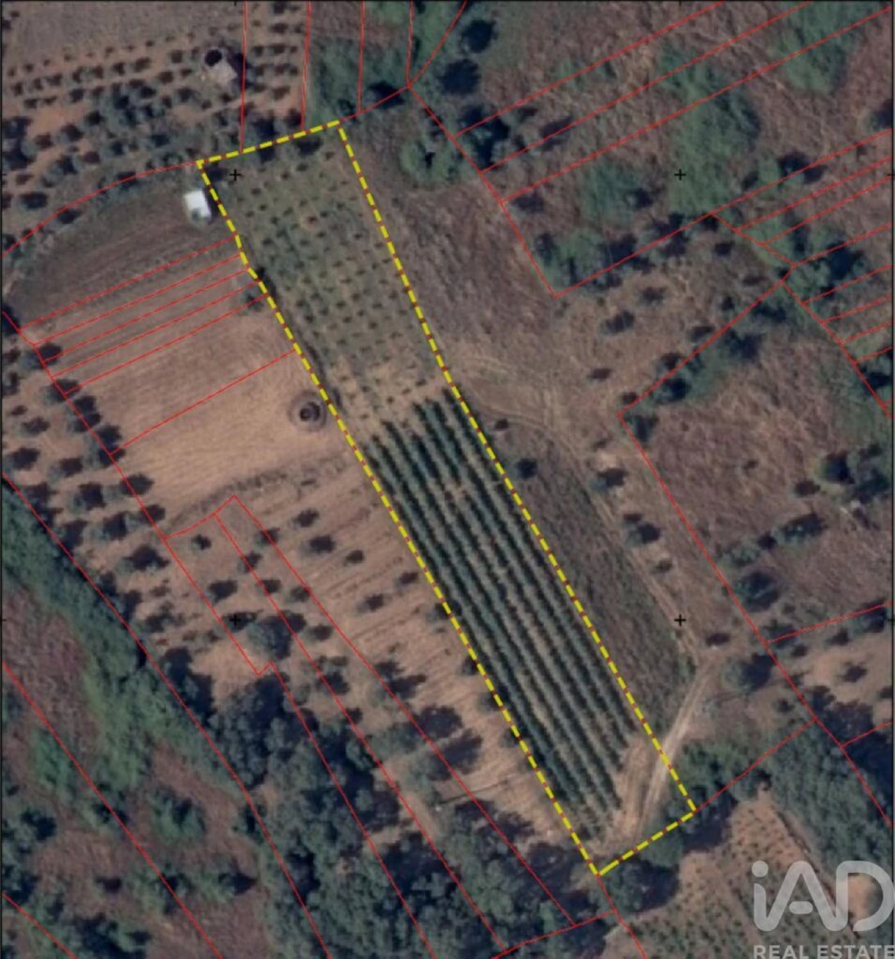 Terreno para Venda em Nossa Senhora do Pranto Foto 30