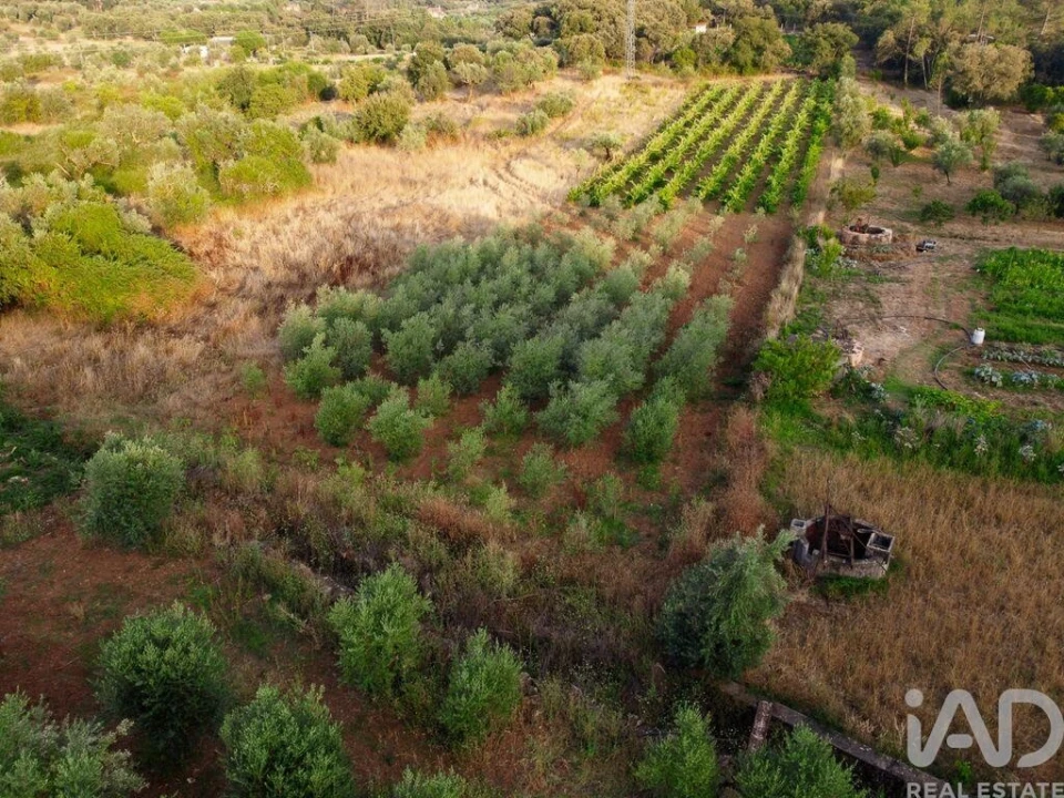 Terreno para Venda em Nossa Senhora do Pranto Foto 25