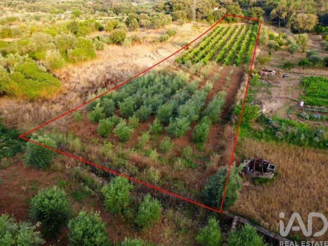 Terreno para Venda em Nossa Senhora do Pranto Foto 24