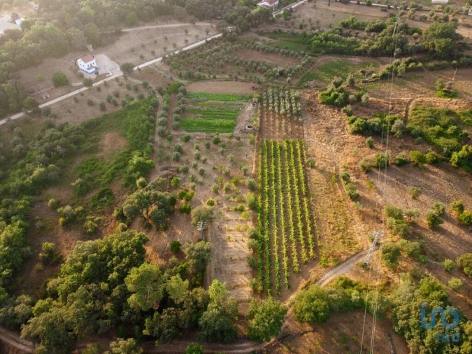 Terreno para Venda em Nossa Senhora do Pranto Foto 2