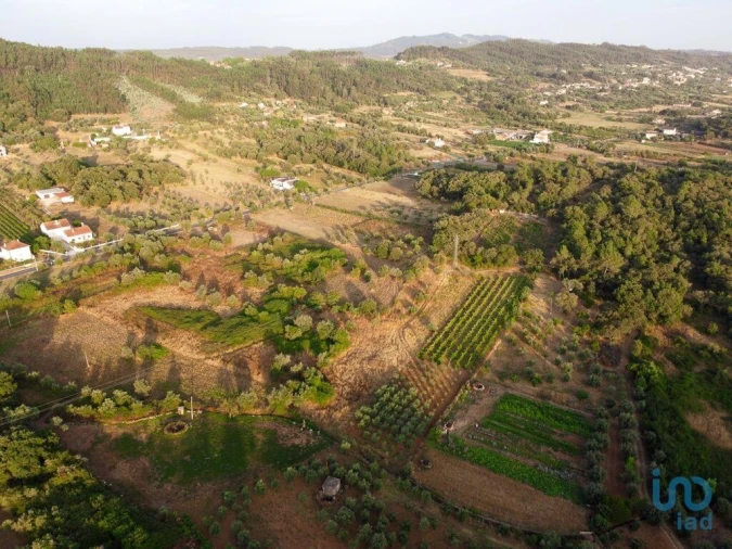 Terreno para Venda em Nossa Senhora do Pranto Foto 10