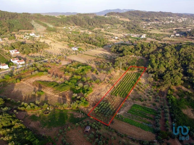 Terreno para Venda em Nossa Senhora do Pranto Foto 9