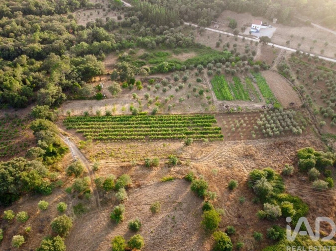 Terreno para Venda em Nossa Senhora do Pranto Foto 17