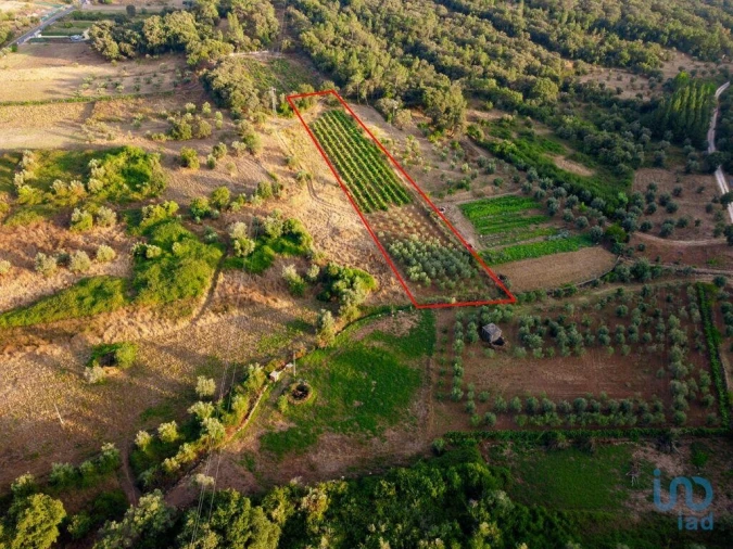 Terreno para Venda em Nossa Senhora do Pranto Foto 12