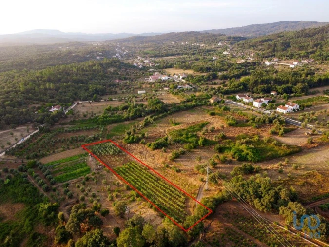 Terreno para Venda em Nossa Senhora do Pranto Foto 3