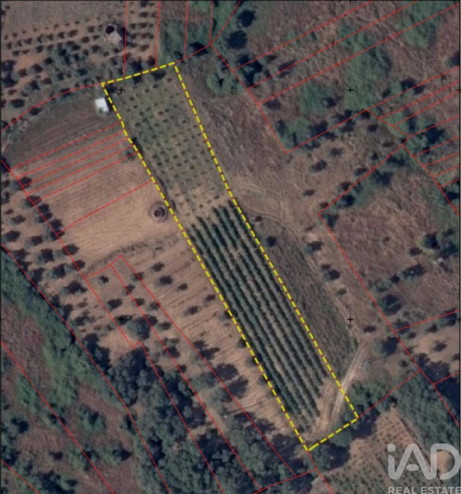 Terreno para Venda em Nossa Senhora do Pranto Foto 30