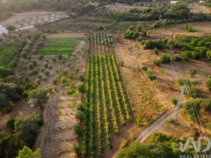 Terreno para Venda em Nossa Senhora do Pranto Foto 18