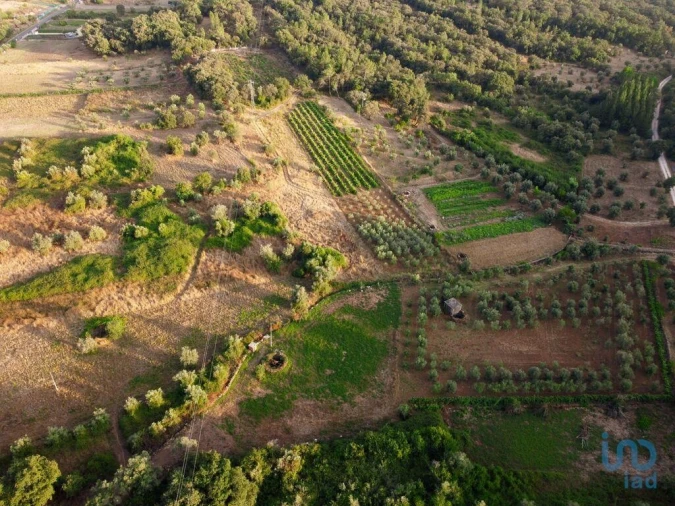 Terreno para Venda em Nossa Senhora do Pranto Foto 13