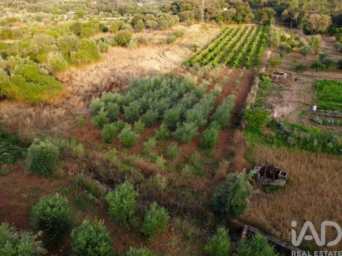 Terreno para Venda em Nossa Senhora do Pranto Foto 25