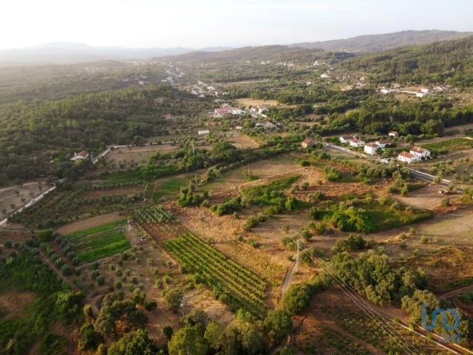 Terreno para Venda em Nossa Senhora do Pranto Foto 4