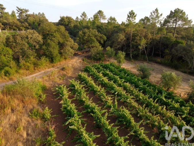 Terreno para Venda em Nossa Senhora do Pranto Foto 27