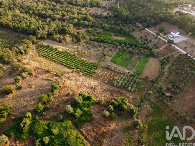 Terreno para Venda em Nossa Senhora do Pranto Foto 15