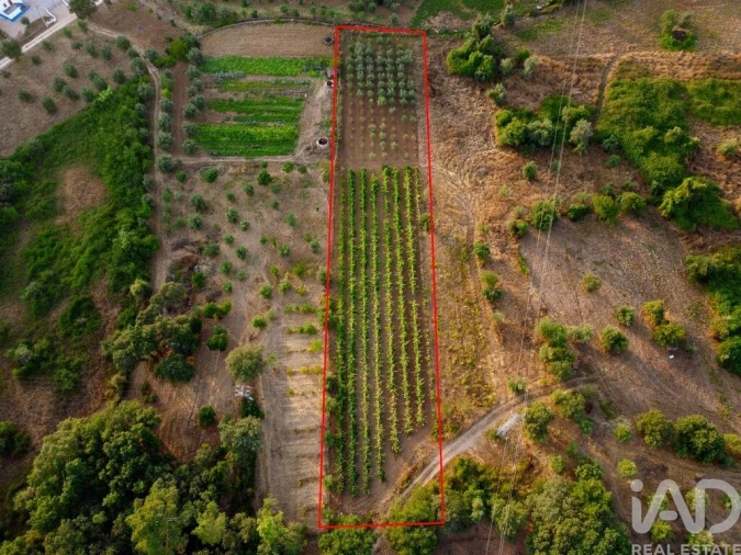 Terreno para Venda em Nossa Senhora do Pranto Foto 28