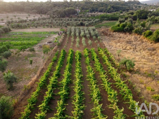 Terreno para Venda em Nossa Senhora do Pranto Foto 20