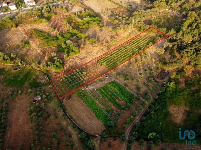 Terreno para Venda em Nossa Senhora do Pranto Foto 7