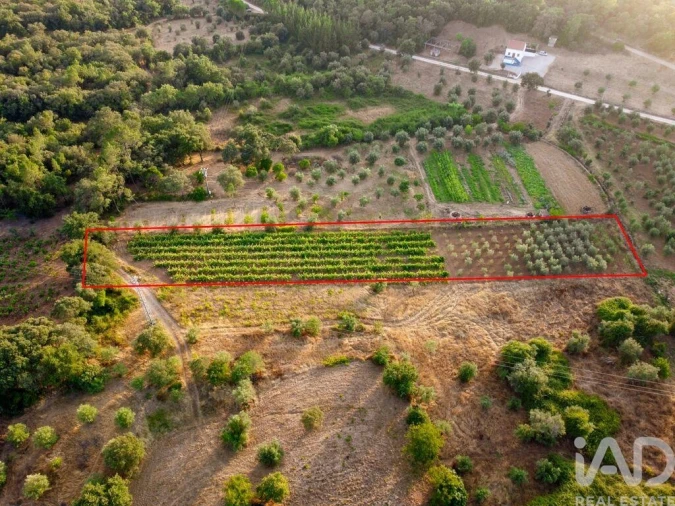 Terreno para Venda em Nossa Senhora do Pranto Foto 16