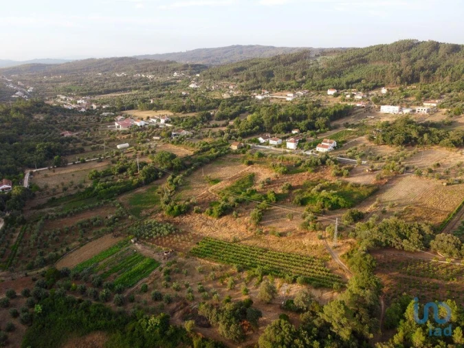 Terreno para Venda em Nossa Senhora do Pranto Foto 6