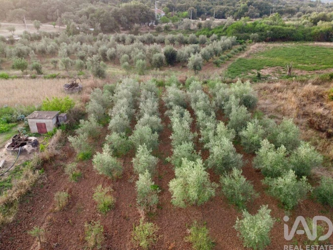 Terreno para Venda em Nossa Senhora do Pranto Foto 22