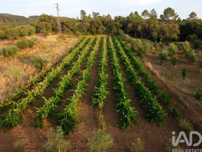Terreno para Venda em Nossa Senhora do Pranto Foto 26