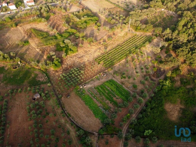 Terreno para Venda em Nossa Senhora do Pranto Foto 8
