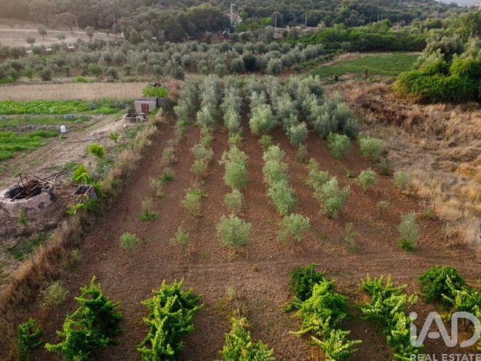 Terreno para Venda em Nossa Senhora do Pranto Foto 21