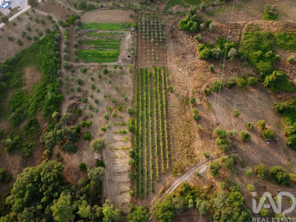 Terreno para Venda em Nossa Senhora do Pranto Foto 29