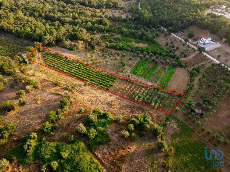 Terreno para Venda em Nossa Senhora do Pranto Foto 14