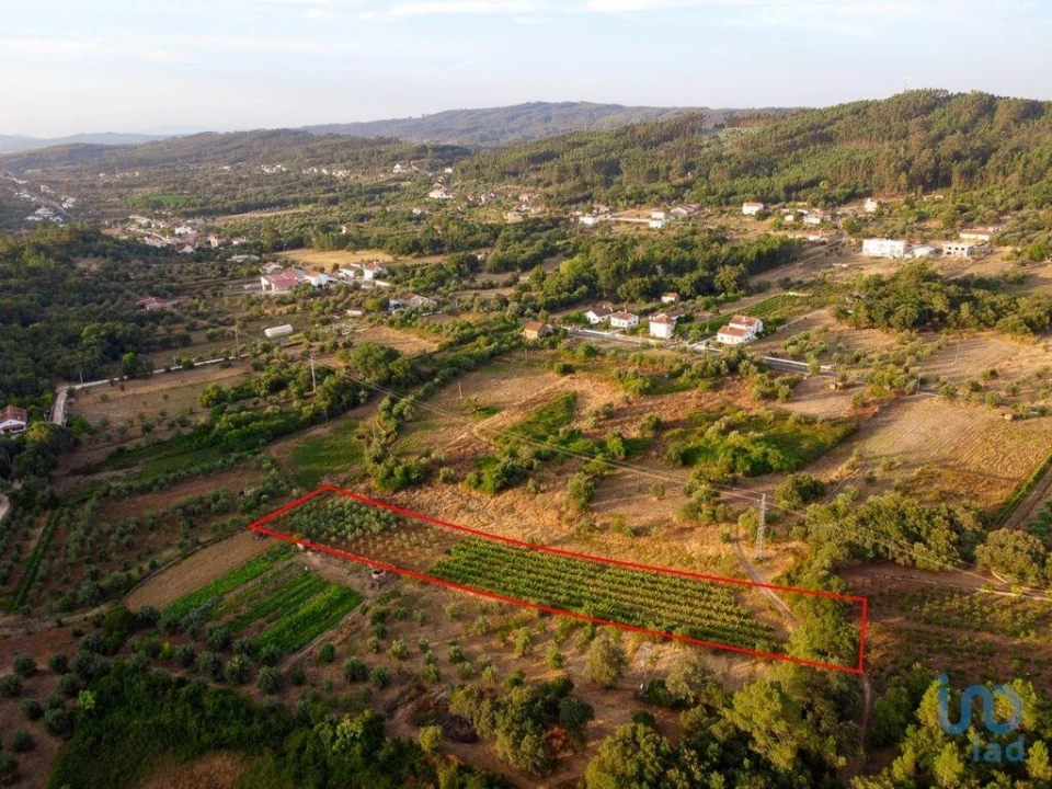 Terreno para Venda em Nossa Senhora do Pranto Foto 5
