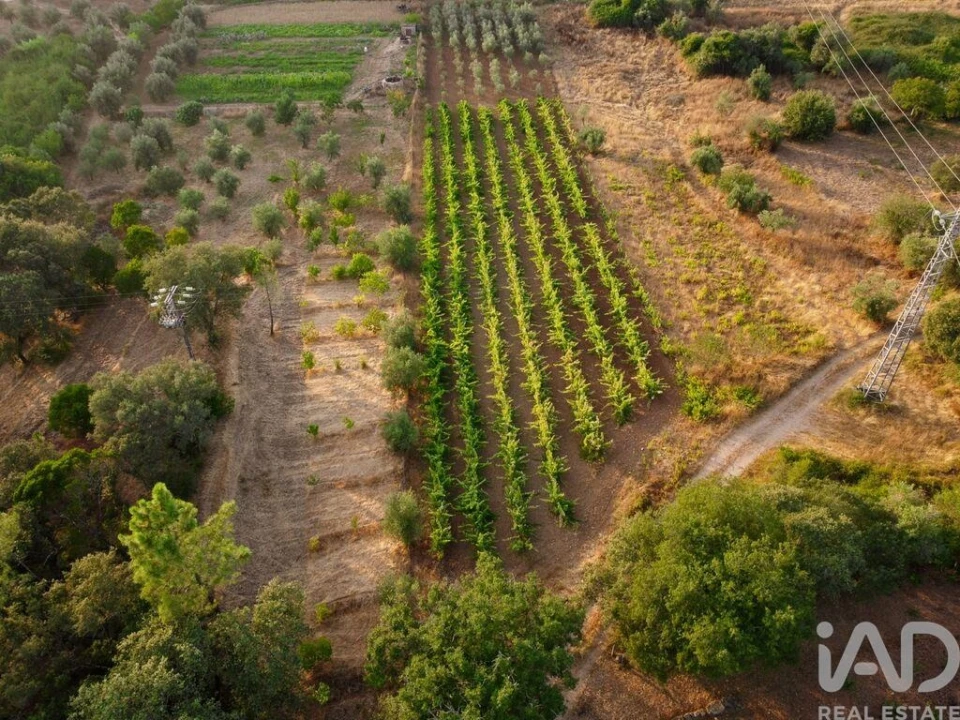 Terreno para Venda em Nossa Senhora do Pranto Foto 19
