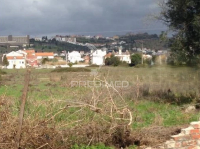 Moradia T9 para Venda em São Miguel do Rio Torto e Rossio Ao Sul do Tejo Foto 10