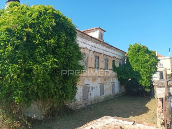 Moradia T9 para Venda em São Miguel do Rio Torto e Rossio Ao Sul do Tejo Foto 3
