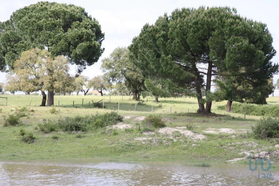 Terreno para Venda em Poceirão e Marateca Foto 3
