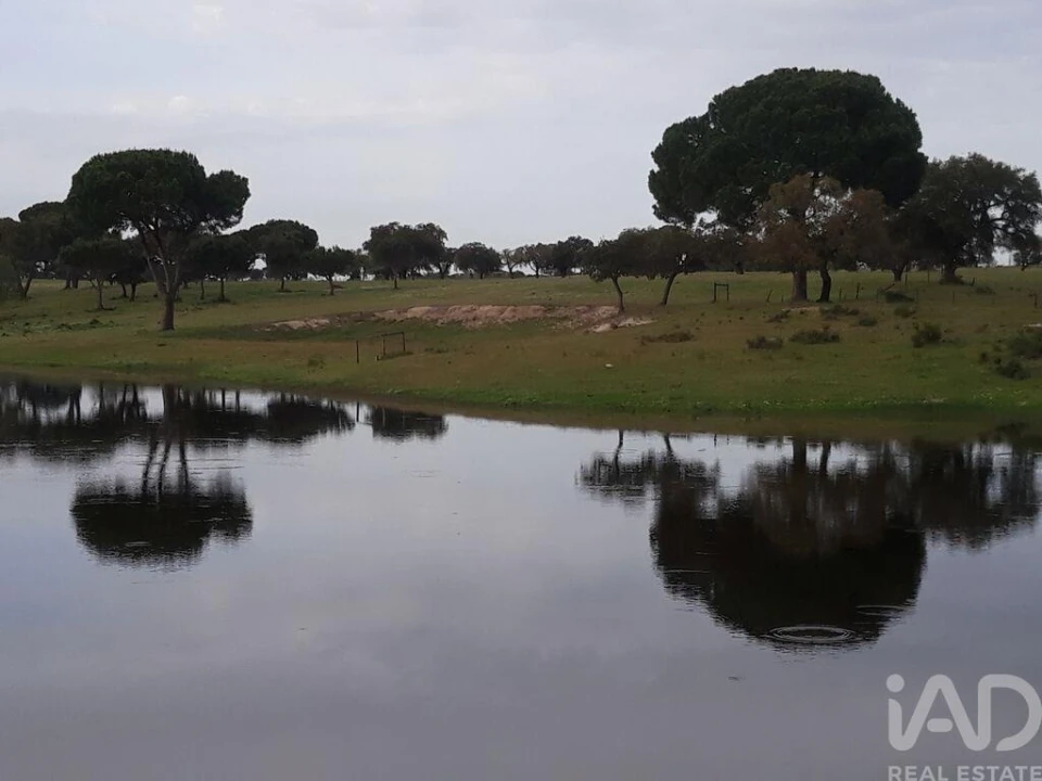 Terreno para Venda em Poceirão e Marateca Foto 29
