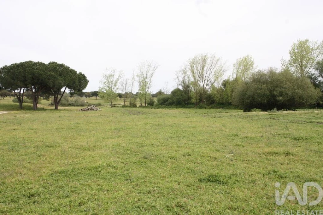 Terreno para Venda em Poceirão e Marateca Foto 22