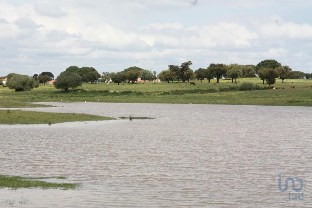 Terreno para Venda em Poceirão e Marateca Foto 6