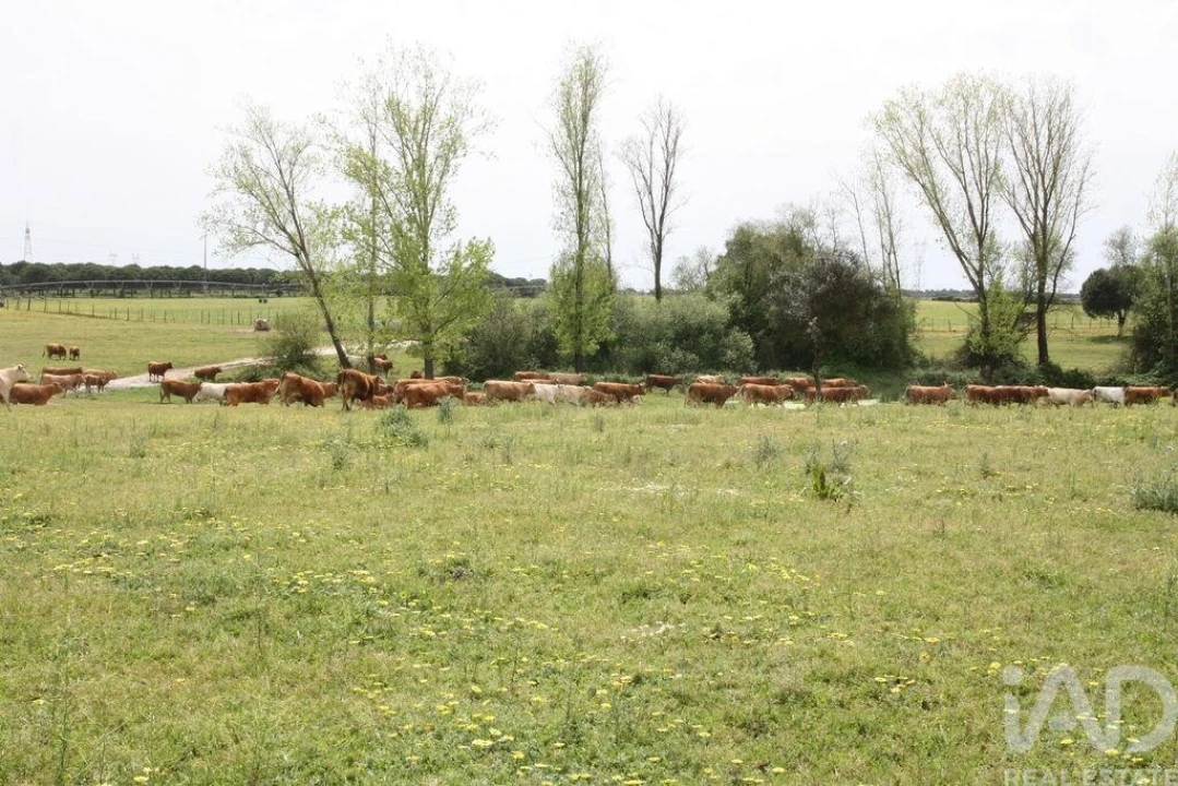 Terreno para Venda em Poceirão e Marateca Foto 19