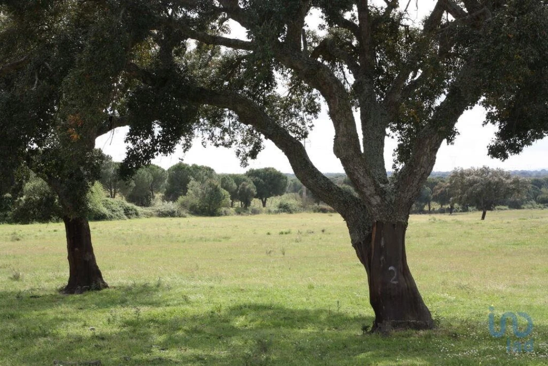 Terreno para Venda em Poceirão e Marateca Foto 12
