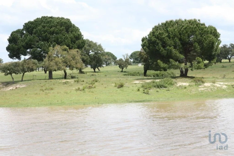 Terreno para Venda em Poceirão e Marateca Foto 2