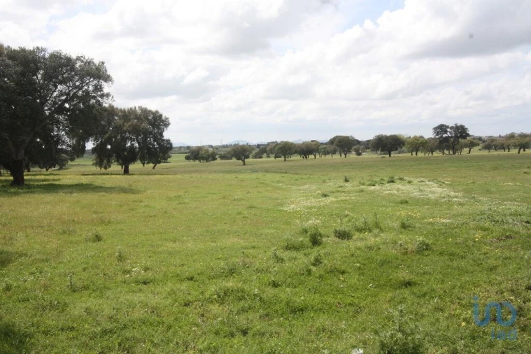 Terreno para Venda em Poceirão e Marateca Foto 10